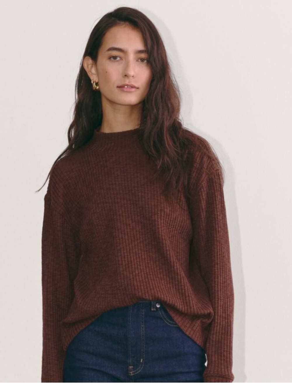 Everlane Cozy Rib Funnel-Neck in Dark Mahogany Size XXS NWT Oversized Soft